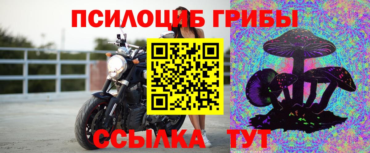 Псилоцибиновые грибы GOLDEN TEACHER Гай